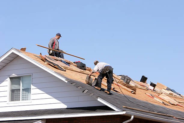 Trusted Princeton, KY Roofing services Experts